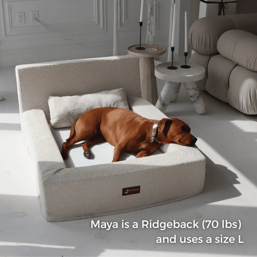 The Authentic Canine Comfort Bed