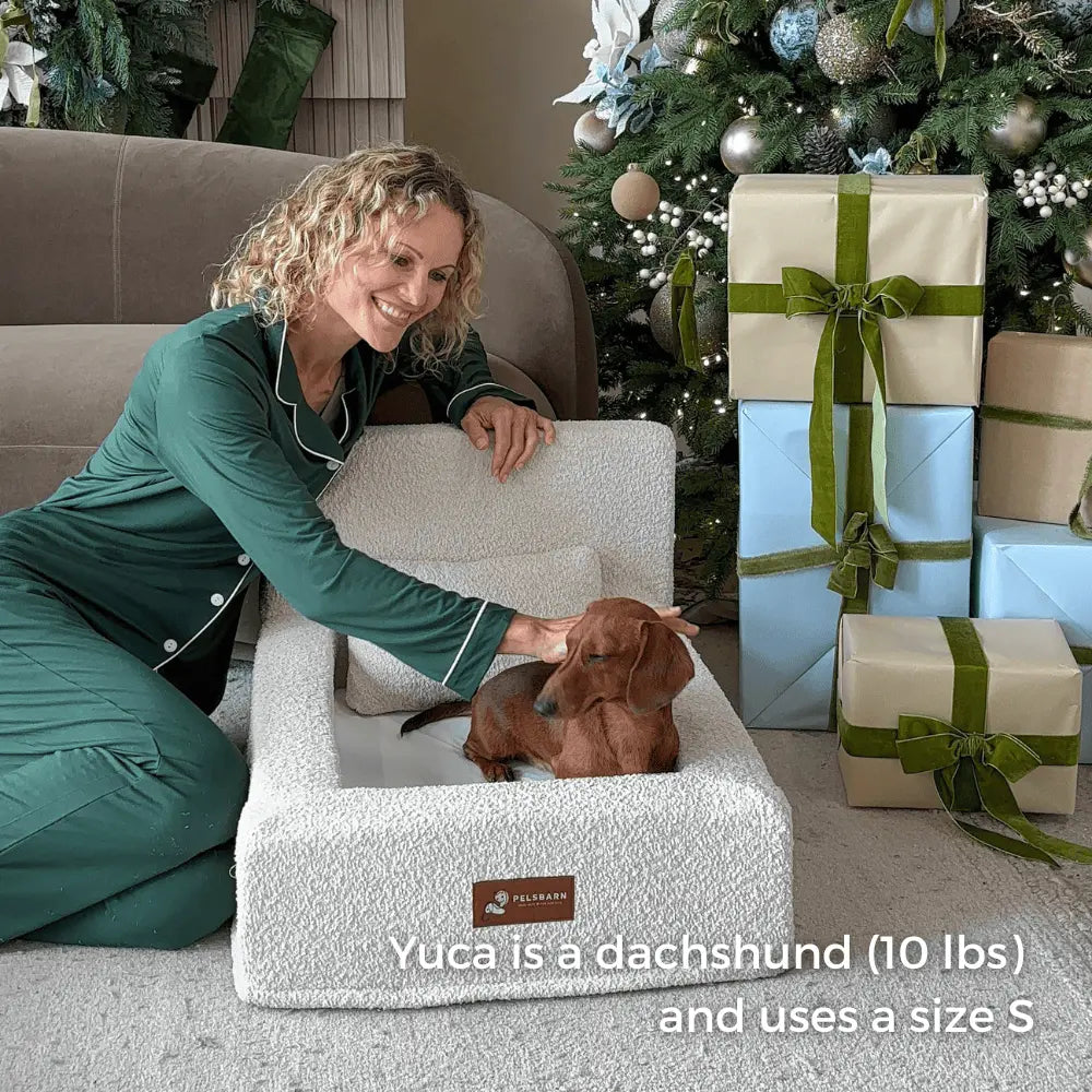 The Authentic Canine Comfort Bed
