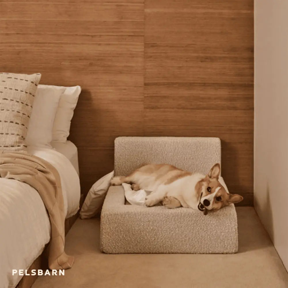 The Authentic Canine Comfort Bed
