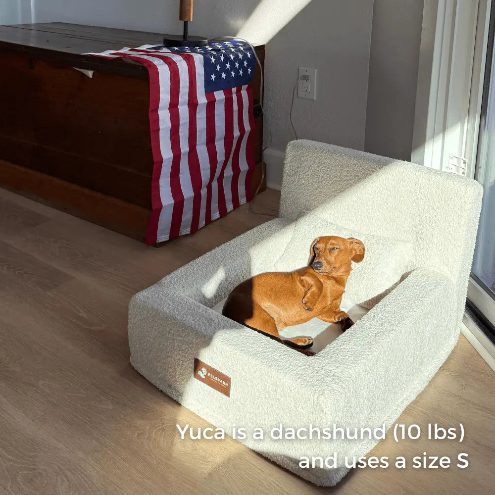 The Authentic Canine Comfort Bed