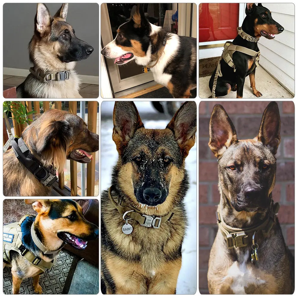 Adjustable Heavy-Duty Tactical Dog Training Collar Made from 1000D Nylon with Quick Release Buckle for Enhanced Comfort and Safety