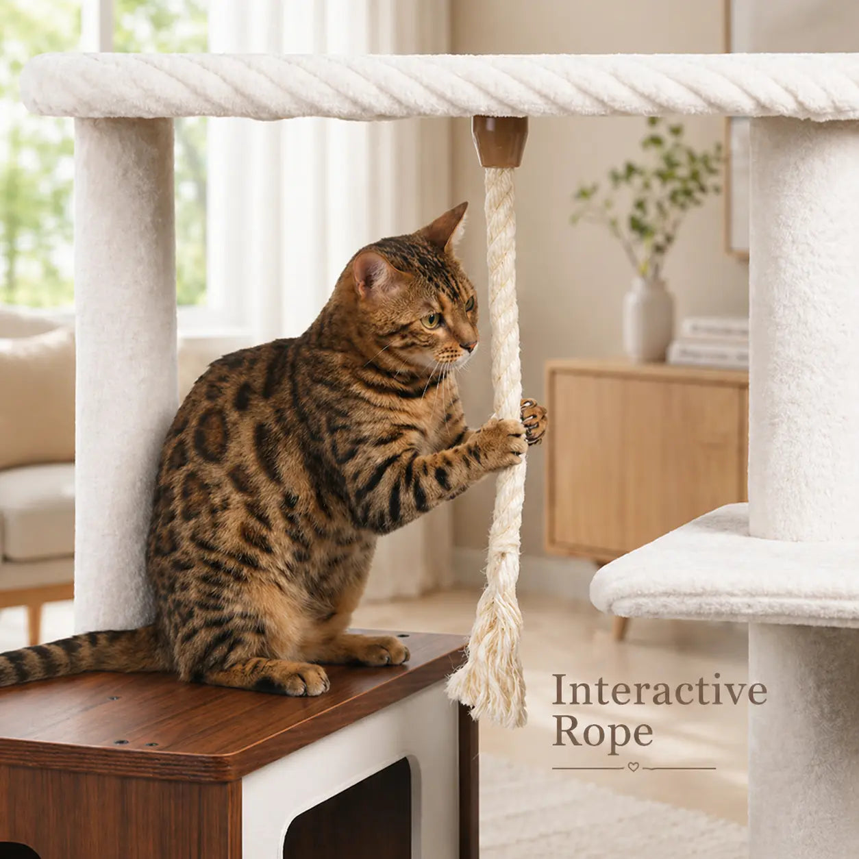 Purrlato 61-Inch Solid Wood Cat Tree - Heavy Duty Modern Cat Tower for Indoor Cats with Extra Large Top Perch, Sturdy Scratching Posts, and Spacious Condo - Ideal Gift for Mother's Day
